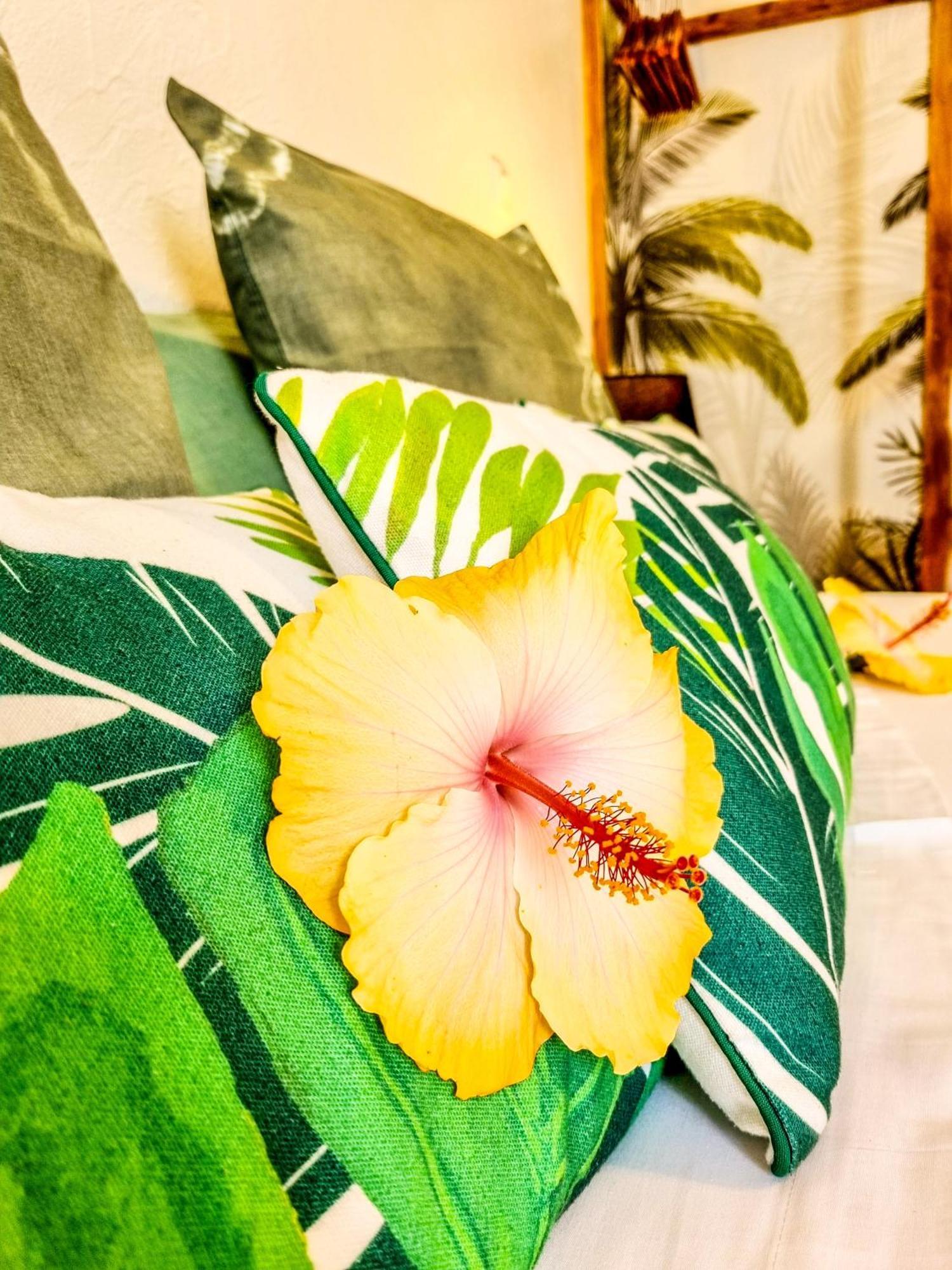 Petite Île Maison D'Hotes Villa Des Mascareignes المظهر الخارجي الصورة